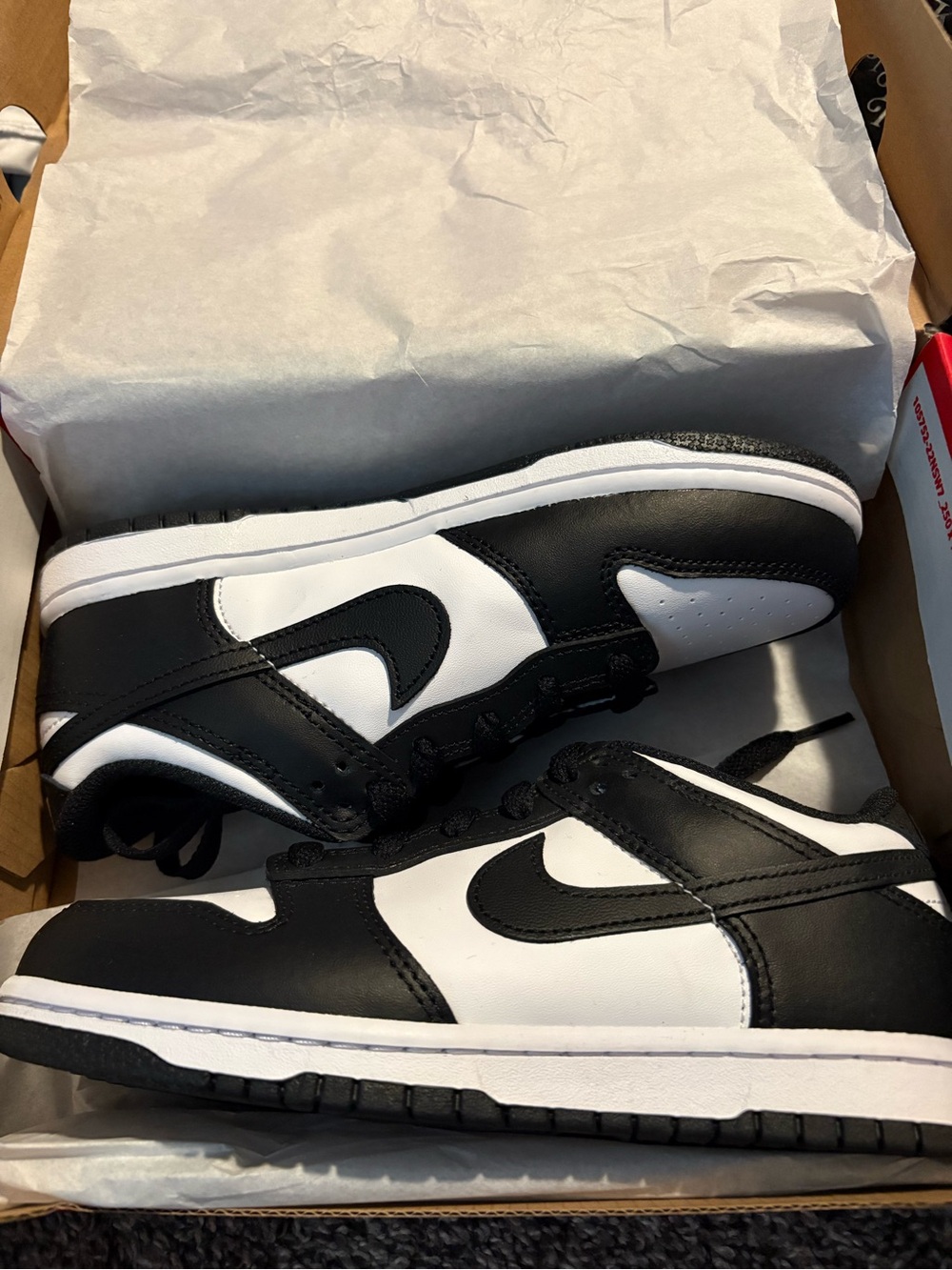 Brand New kids Nike Dunks